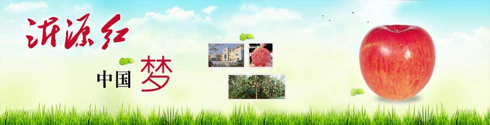 沂源红,中国梦